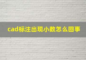 cad标注出现小数怎么回事