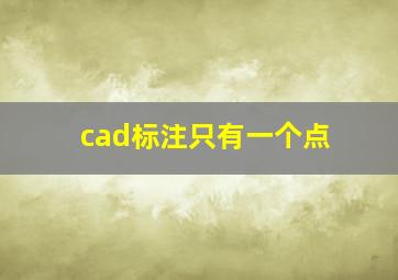 cad标注只有一个点