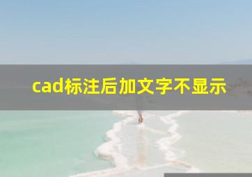 cad标注后加文字不显示