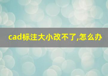 cad标注大小改不了,怎么办