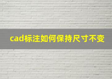 cad标注如何保持尺寸不变