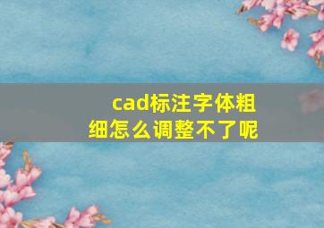 cad标注字体粗细怎么调整不了呢