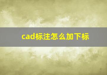 cad标注怎么加下标