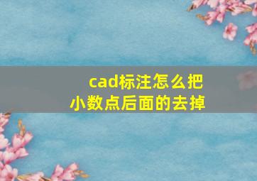 cad标注怎么把小数点后面的去掉