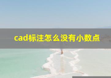 cad标注怎么没有小数点