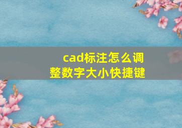 cad标注怎么调整数字大小快捷键