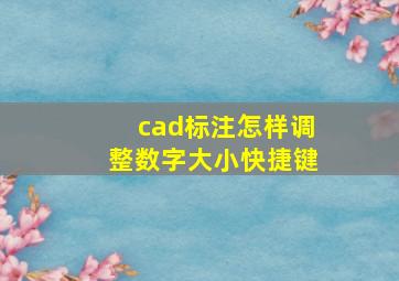 cad标注怎样调整数字大小快捷键