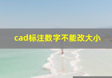 cad标注数字不能改大小