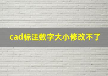 cad标注数字大小修改不了