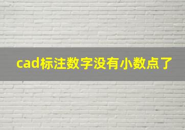 cad标注数字没有小数点了