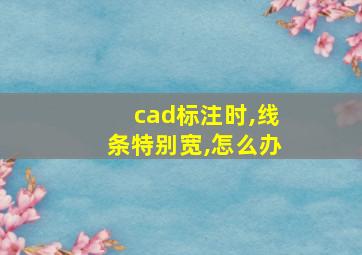 cad标注时,线条特别宽,怎么办