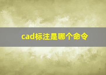 cad标注是哪个命令