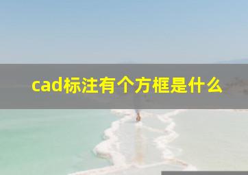 cad标注有个方框是什么