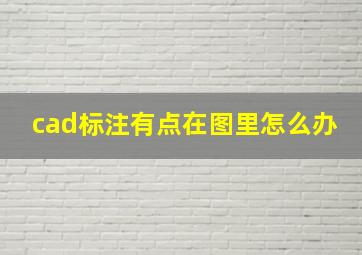 cad标注有点在图里怎么办