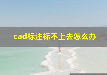 cad标注标不上去怎么办