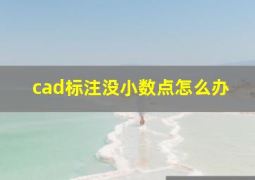 cad标注没小数点怎么办