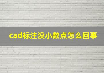 cad标注没小数点怎么回事