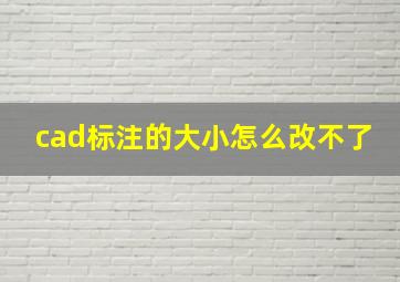 cad标注的大小怎么改不了