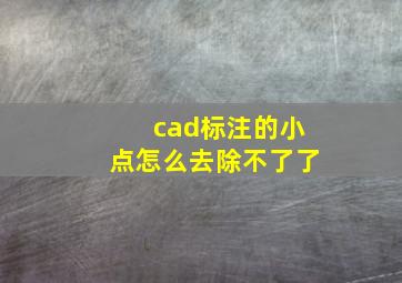 cad标注的小点怎么去除不了了