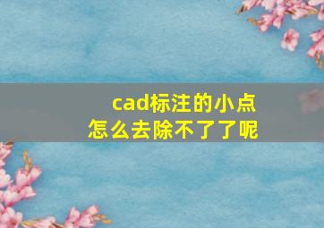 cad标注的小点怎么去除不了了呢