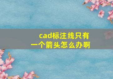 cad标注线只有一个箭头怎么办啊