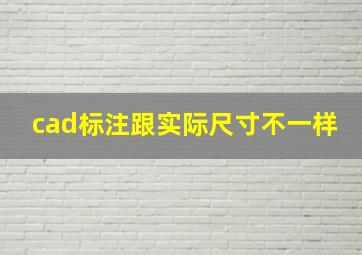 cad标注跟实际尺寸不一样