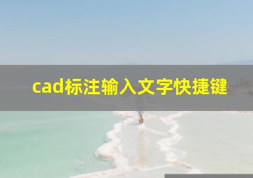 cad标注输入文字快捷键