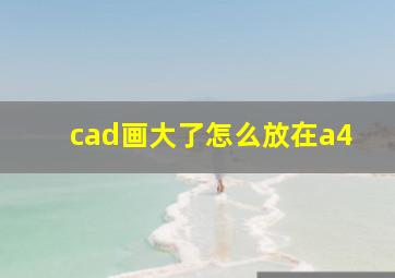 cad画大了怎么放在a4