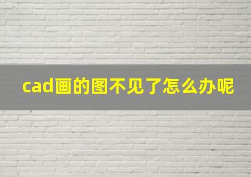 cad画的图不见了怎么办呢