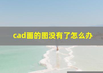 cad画的图没有了怎么办