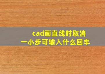 cad画直线时取消一小步可输入什么回车