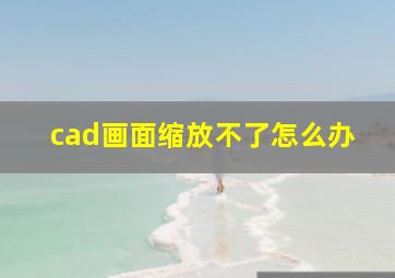 cad画面缩放不了怎么办