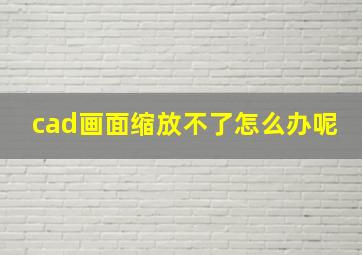 cad画面缩放不了怎么办呢