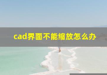 cad界面不能缩放怎么办