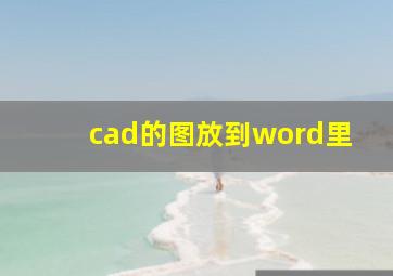 cad的图放到word里