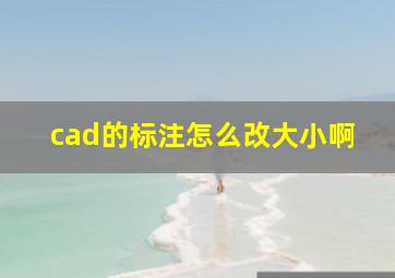 cad的标注怎么改大小啊