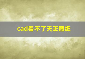 cad看不了天正图纸