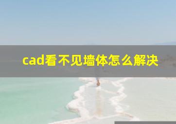 cad看不见墙体怎么解决