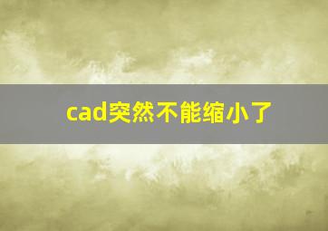 cad突然不能缩小了