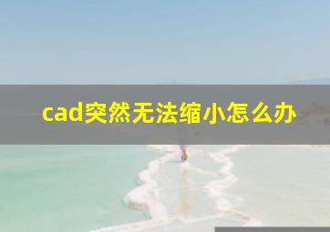 cad突然无法缩小怎么办