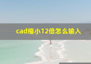 cad缩小12倍怎么输入