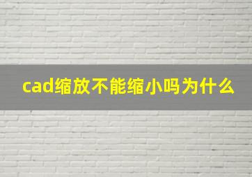 cad缩放不能缩小吗为什么