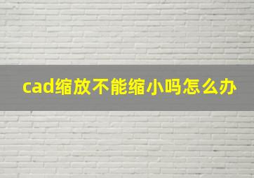 cad缩放不能缩小吗怎么办