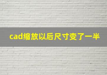 cad缩放以后尺寸变了一半