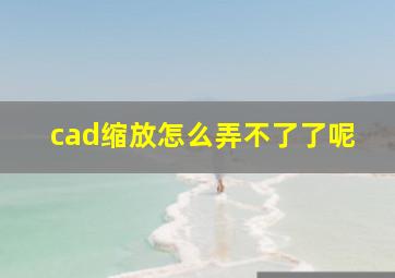 cad缩放怎么弄不了了呢