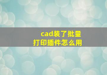 cad装了批量打印插件怎么用