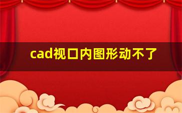 cad视口内图形动不了