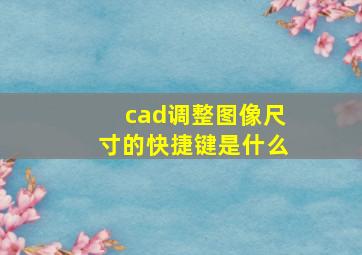 cad调整图像尺寸的快捷键是什么