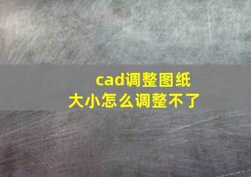 cad调整图纸大小怎么调整不了