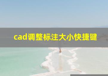 cad调整标注大小快捷键